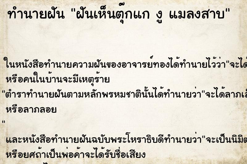 ทำนายฝันฝันเห็นตุ๊กแกงูแมลงสาบ ทำนายฝันทำนายฝันฝันเห็นตุ๊กแกงูแมลงสาบ